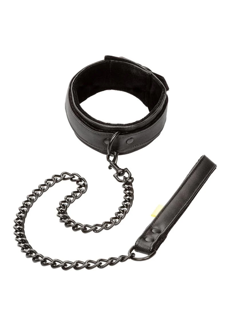 Boundless Collar and Leash - Image 4