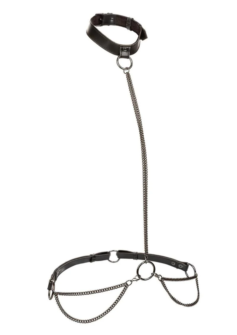 Euphoria Collection Chain Halter/Collar and Leash - Image 2