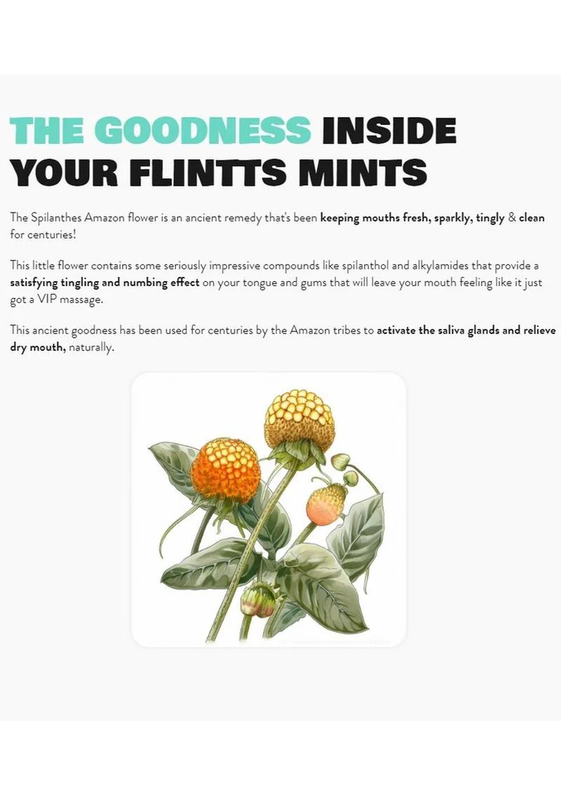 Flintts Mints Mouth Watering Oral Delights - Luxury - Image 4