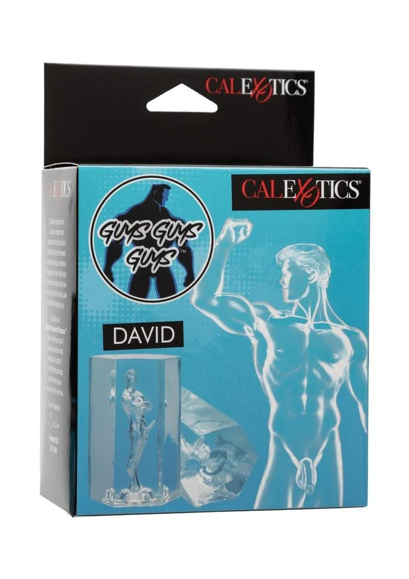 Guys Guys Guys David Stroker - Anal - Image 2