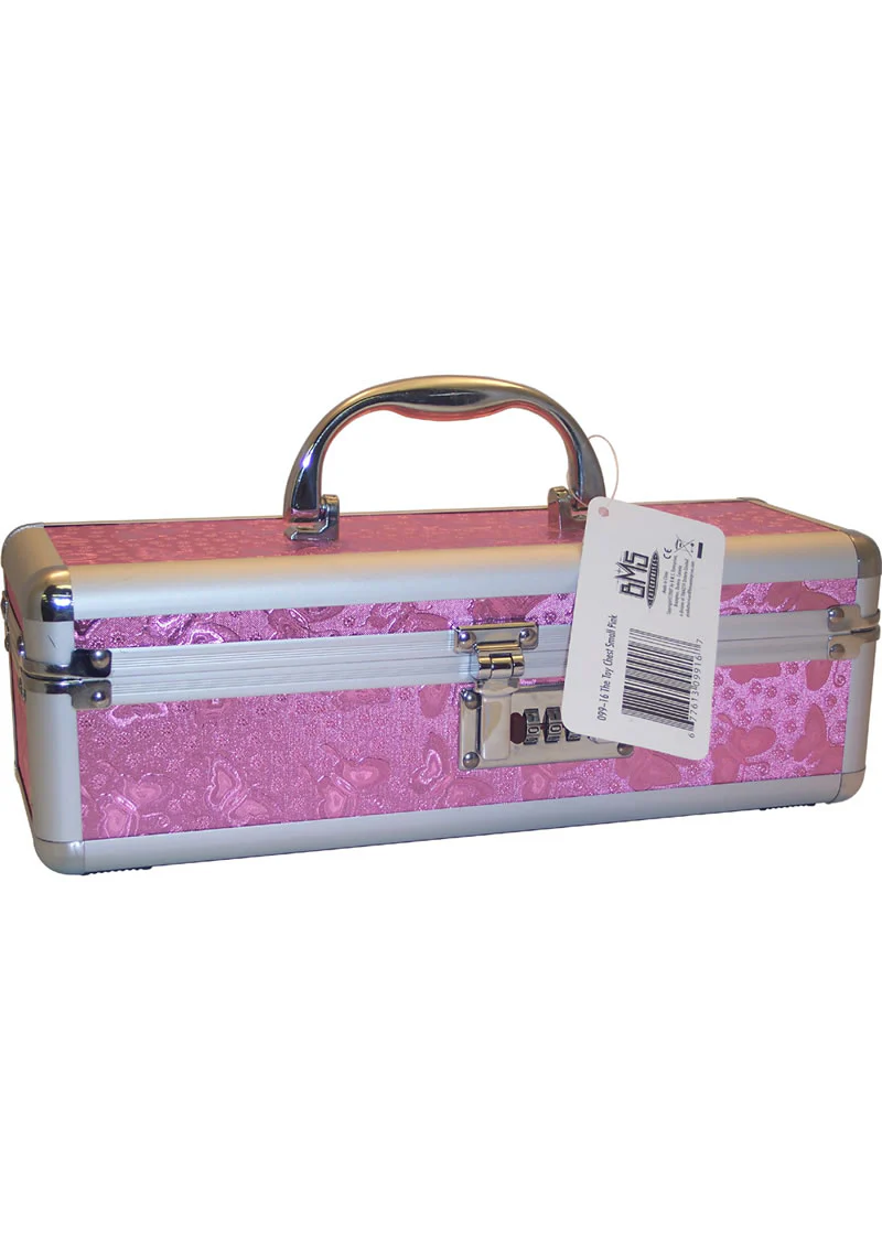 Lockable Vibrator Case - Image 5