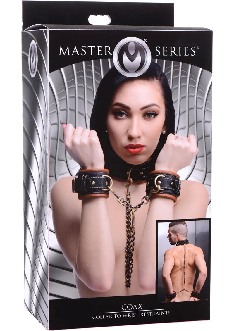 Master Series Coax Collar to Wrist Restraints - Image 4