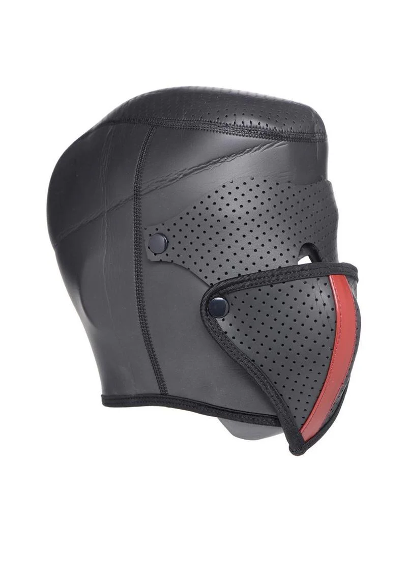Master Series Scorpion Hood with Removable Blindfold and Face Mask - Image 2
